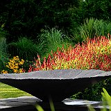 vasque au jardin contemporain et persicaria